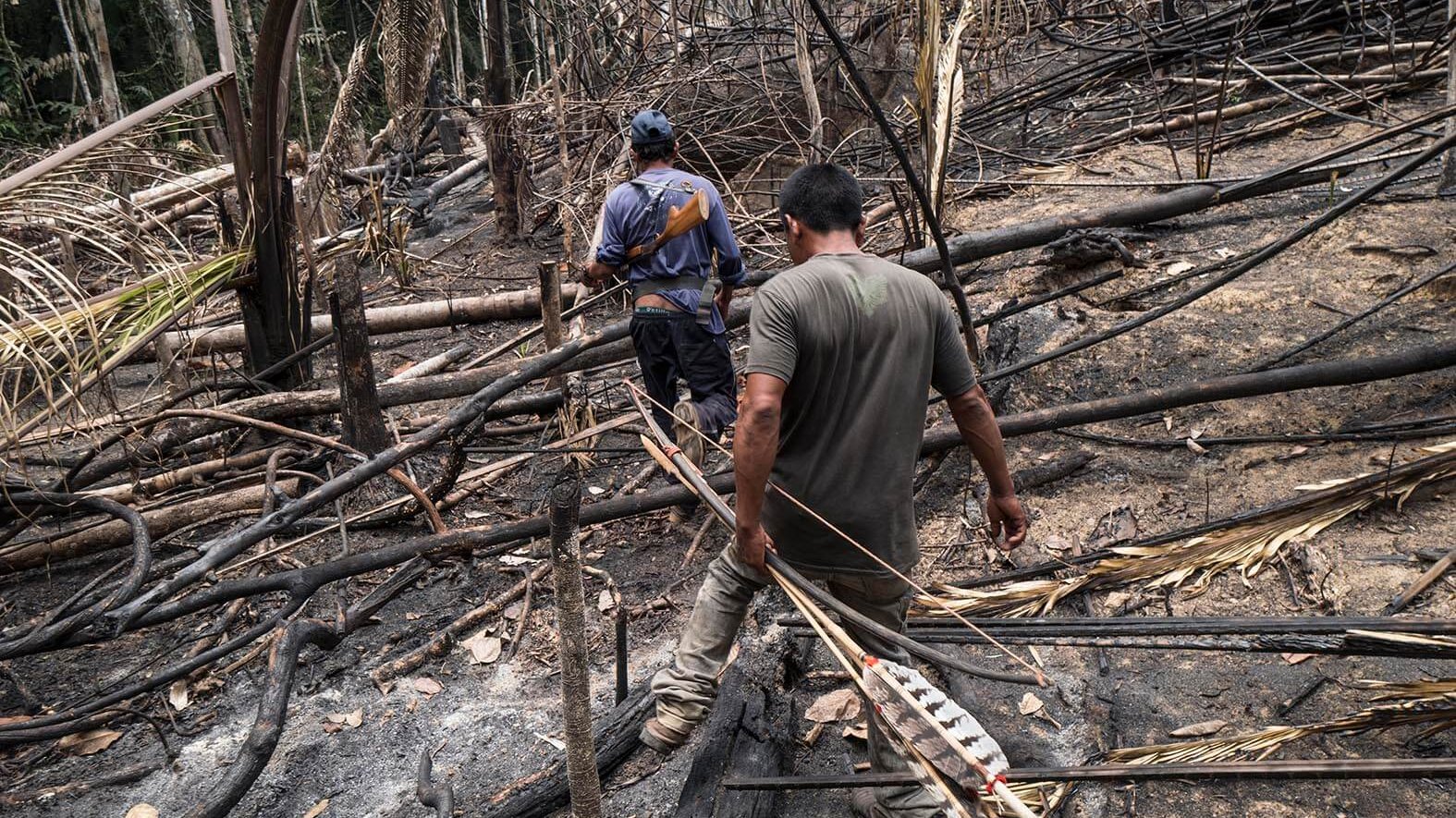 Une patrouille indigène découvre des zones récemment brûlées et une cabane mise en place par des intrus dans le territoire indigène d'Uru Eu Wau Wau, dans l'État de Rondônia, au Brésil, en septembre 2019.
